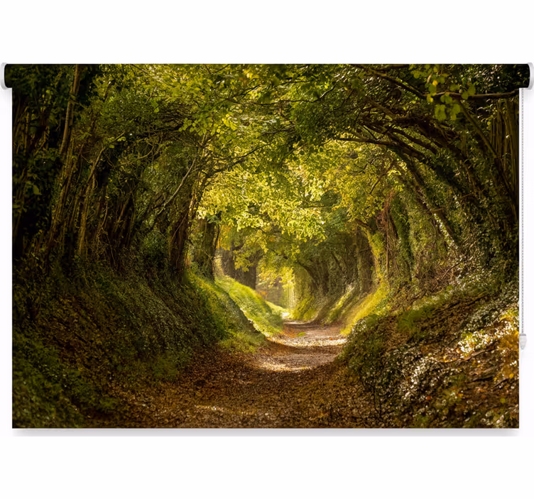 Rolo zavjese drveće uživanje u šumskom muralu - TenStickers
