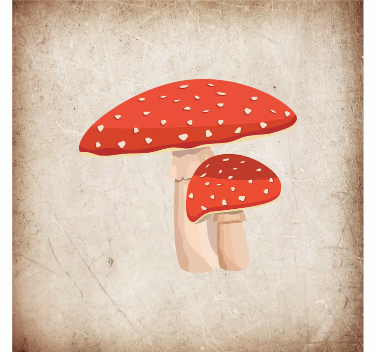 Zavjese za kuhinju s ilustracijom gljive amanita - TenStickers