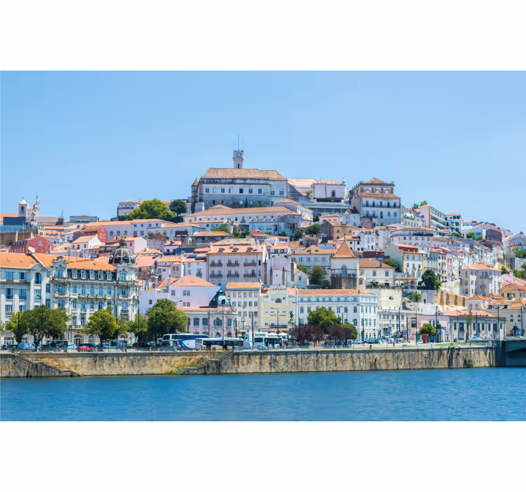 Zavjese za dnevni boravak coimbra - TenStickers