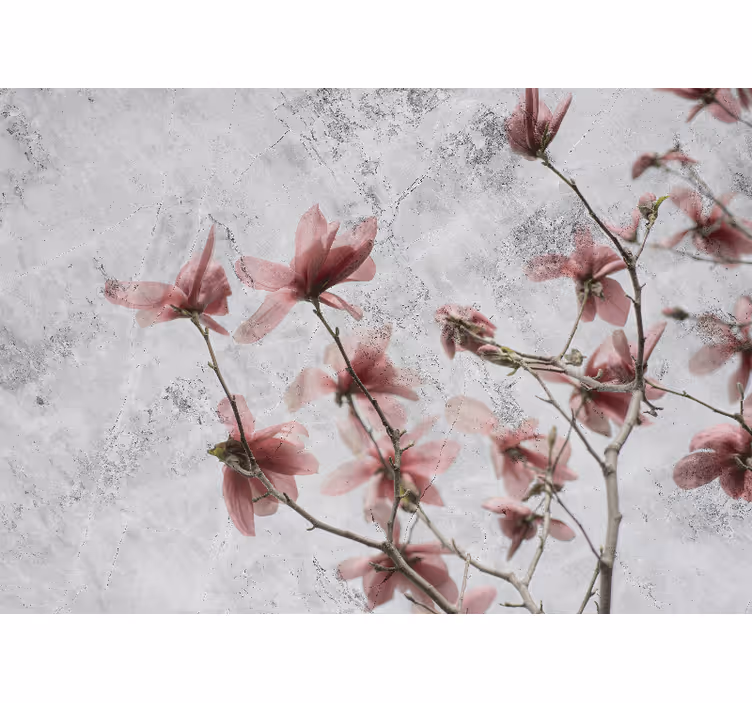 Zavjese za dnevni boravak u elegantnom magnolijinom stilu - TenStickers