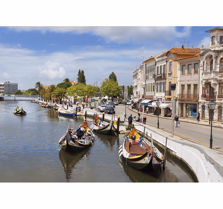 Zavjese za dnevni boravak aveiro moliçeiro - TenStickers