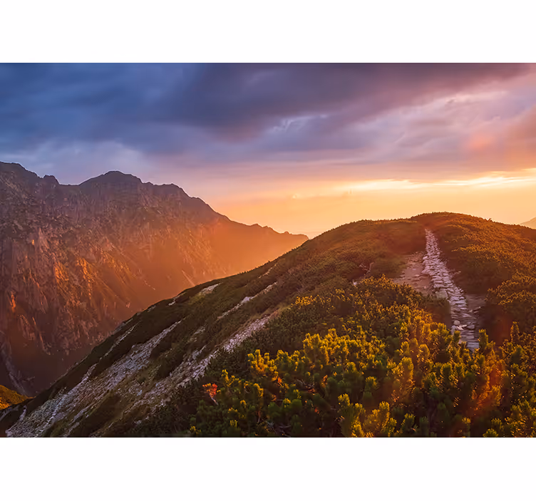 Zavjese za dnevni boravak zakopane noćne planine - TenStickers