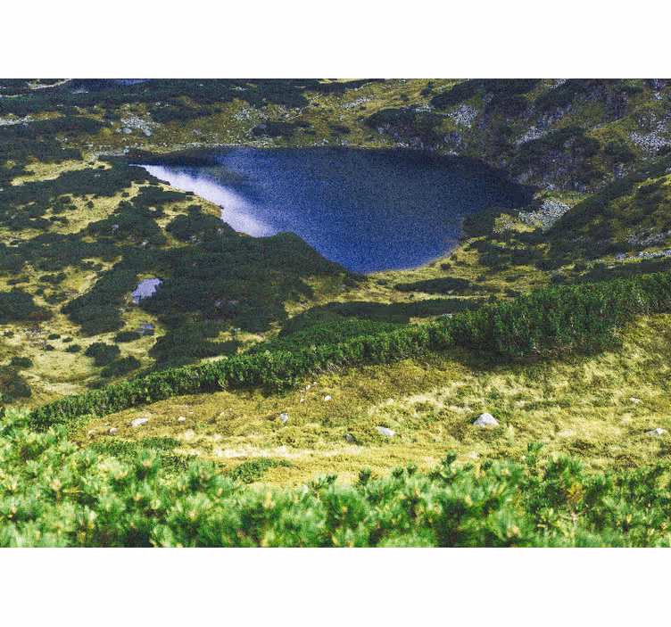 Zavjese za dnevni boravak zeleni poljski tatra - TenStickers