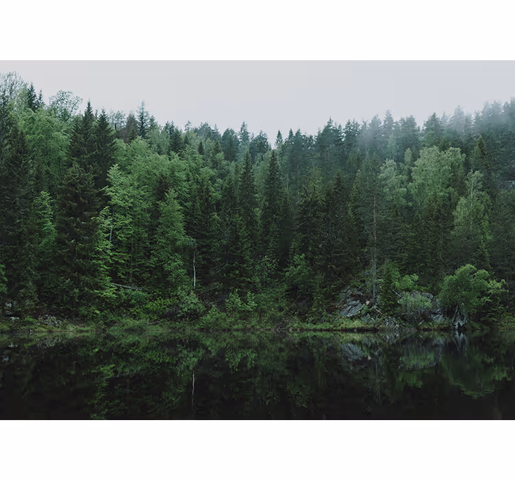 Zavjese za dnevni boravak Šuma uz jezero - TenStickers