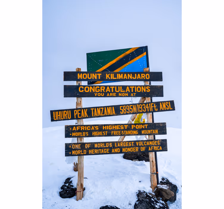 Zavjese za dnevni boravak s motivom kilimanjaro - TenStickers