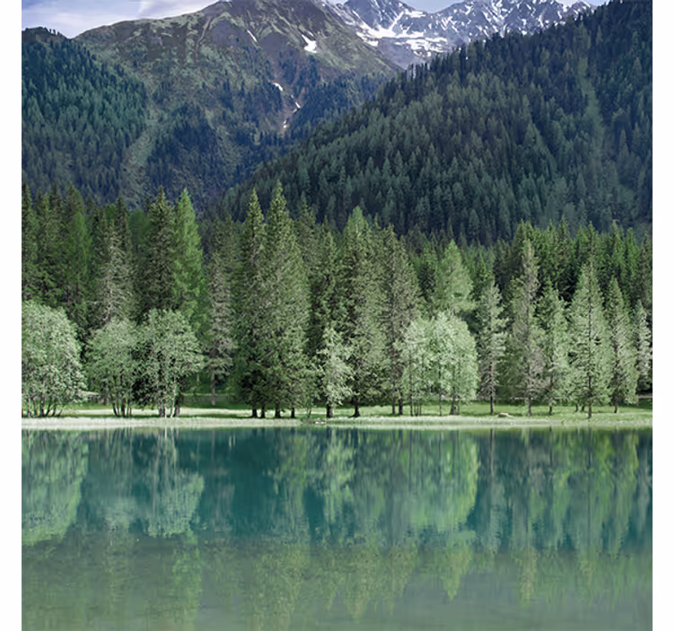 Zavjese za dnevni boravak prekrasno zeleno jezero - TenStickers