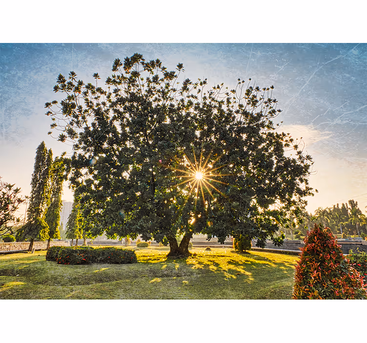 Zavjese za dnevni boravak ljetni zeleni park - TenStickers