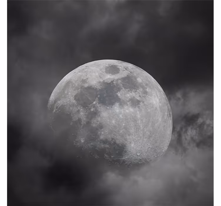 Zavjese za dnevni boravak u sivoj planetarnoj temi - TenStickers