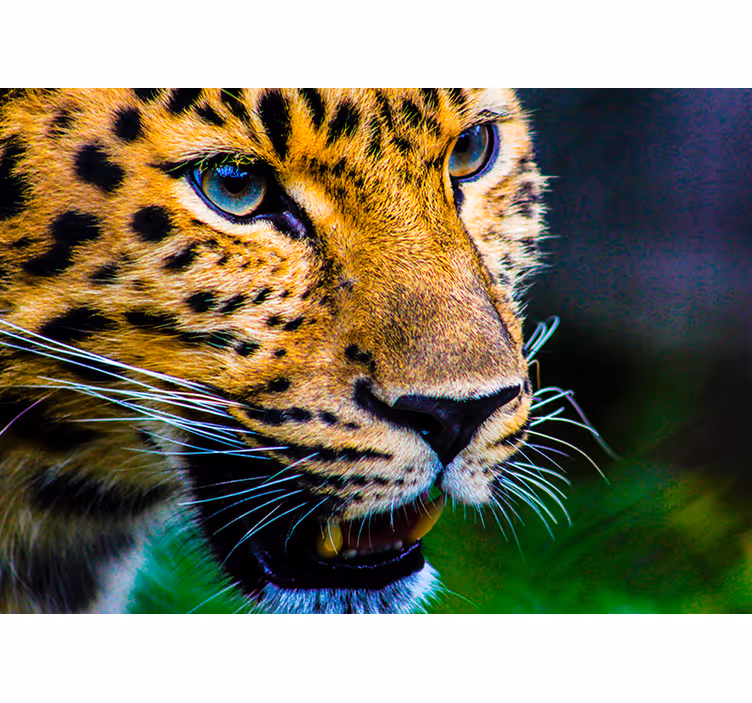Zavjese za spavaću sobu s licem leoparda - TenStickers