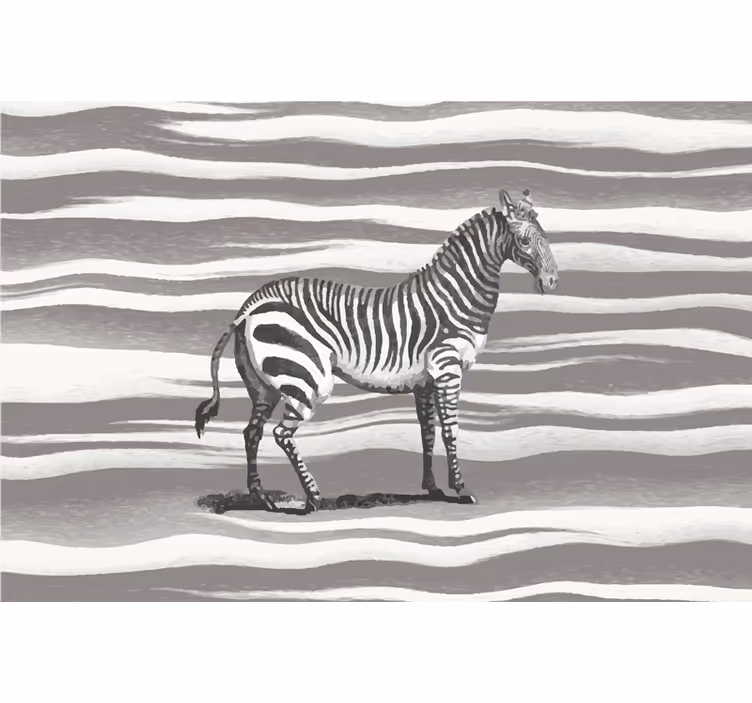 Sive zavjese s vintage ilustracijom zebre - TenStickers
