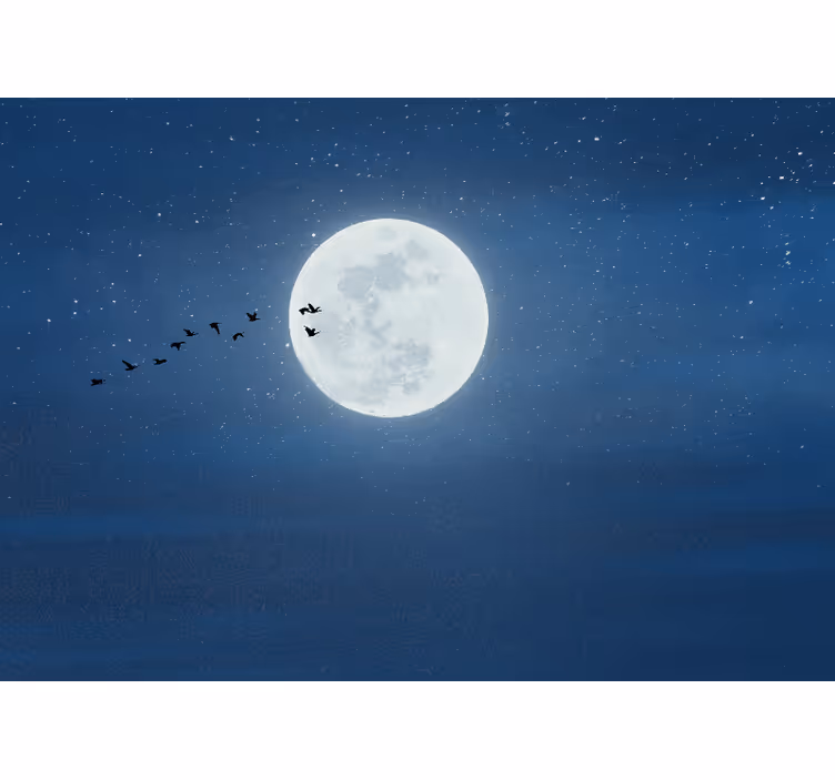 Zavjese za dnevni boravak puna luna i nebo - TenStickers