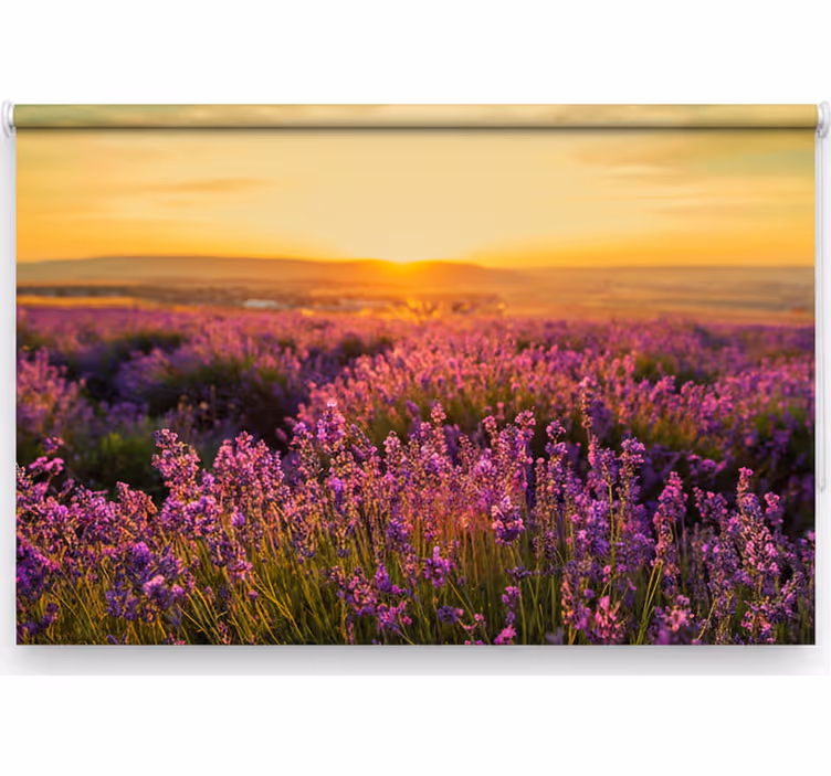 Zavjese za spavaću sobu panoramski provence - TenStickers
