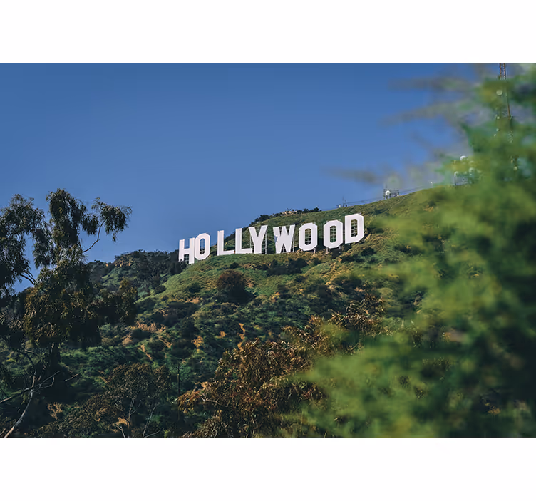 Zavjese za spavaću sobu hollywoodski znak - TenStickers