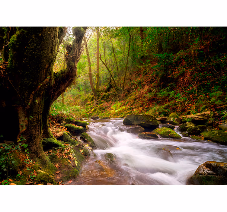 Zavjese za dnevni boravak "fragas do eume" - TenStickers