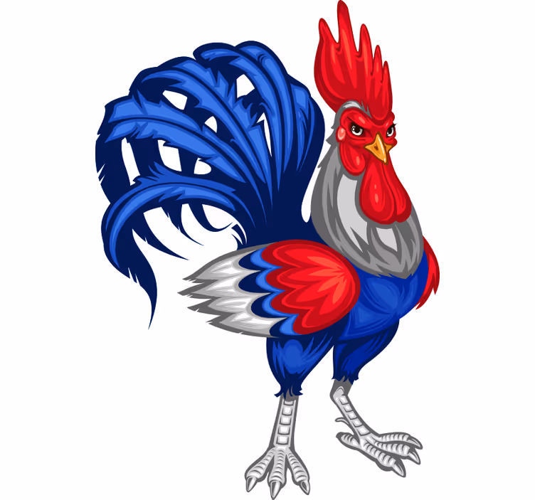 Rolo zavjese tinejdžerski s motivom francuskog pijetla - TenStickers