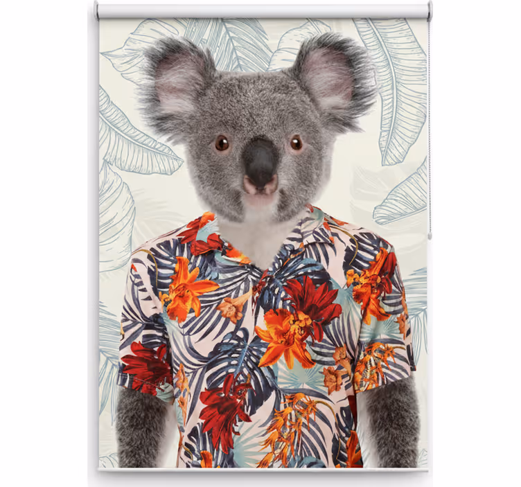 Rolo zavjese tinejdžerski elegantna koala - TenStickers