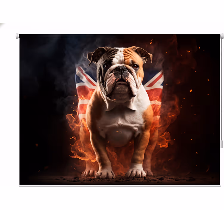Rolo zavjese tinejdžerski britanski buldog u plamenu - TenStickers