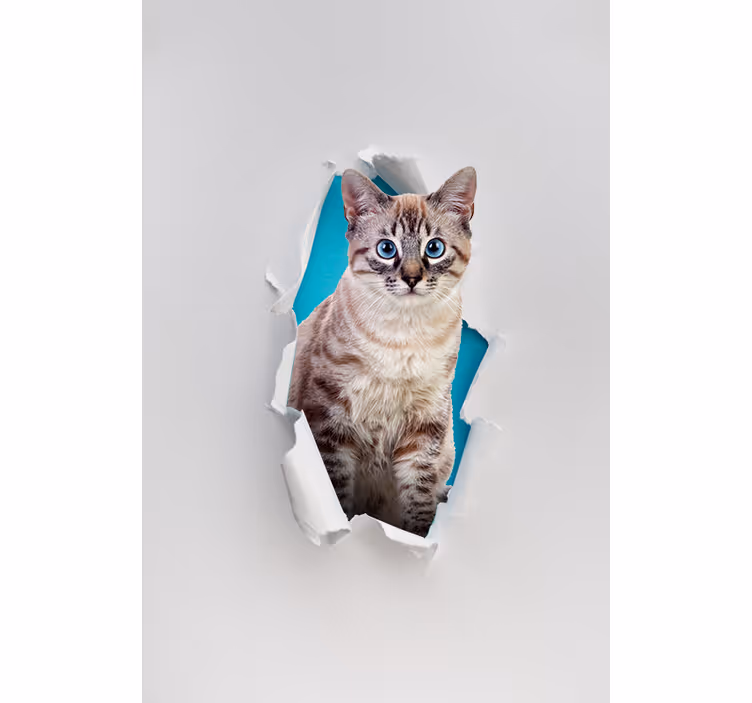 Mačka razne životinjske rolete - TenStickers