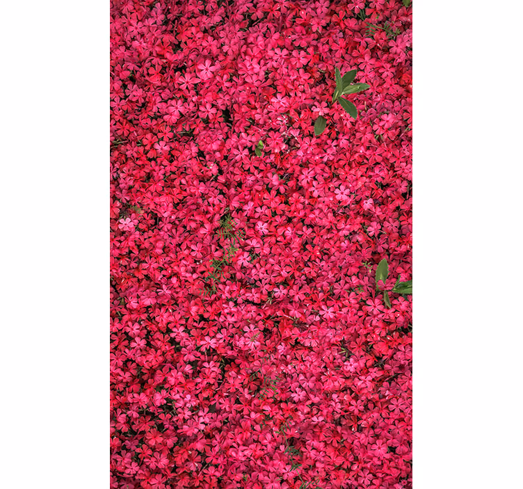 Rolo zavjese cvijeće i biljke vibrant abundance - TenStickers
