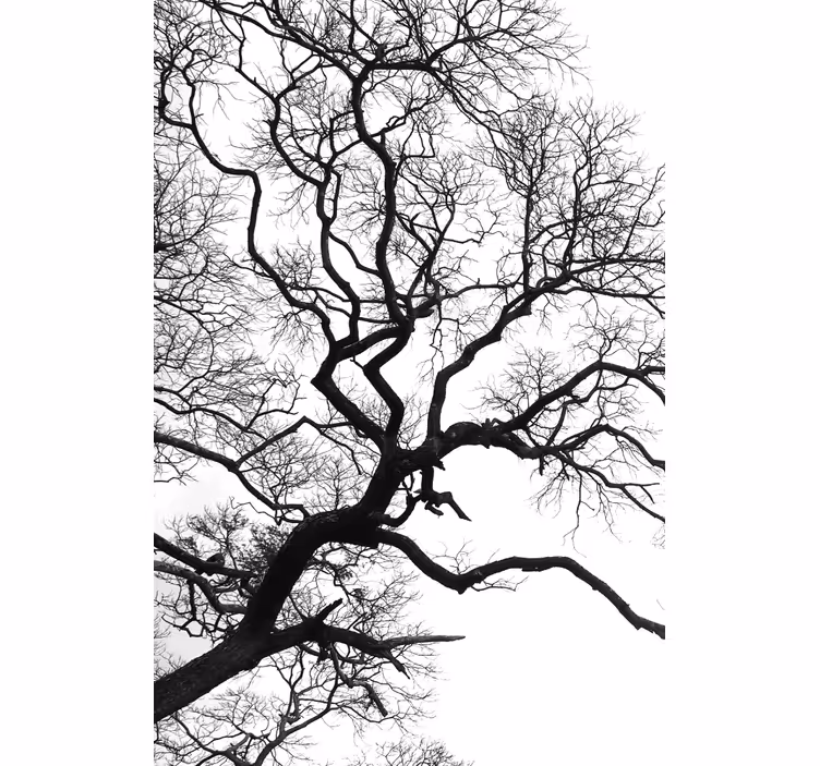 Single wood branch rupture rolo zavjesa slikanje - TenStickers