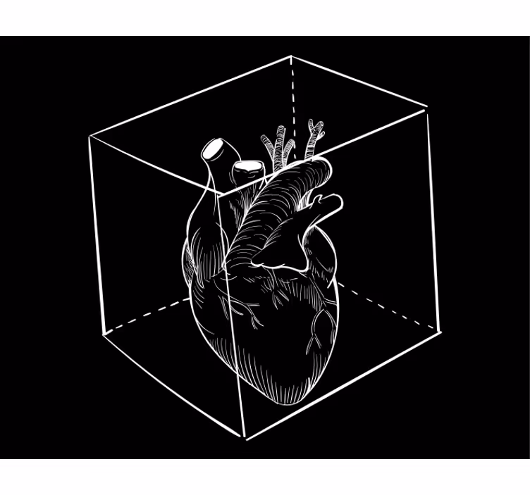 Rolo zavjese zabava ilustracija anatomije srca - TenStickers
