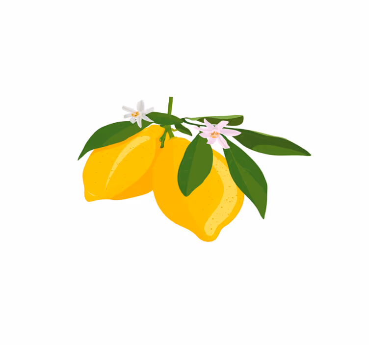 Cvjetni podmetači od limuna i limuna - TenStickers