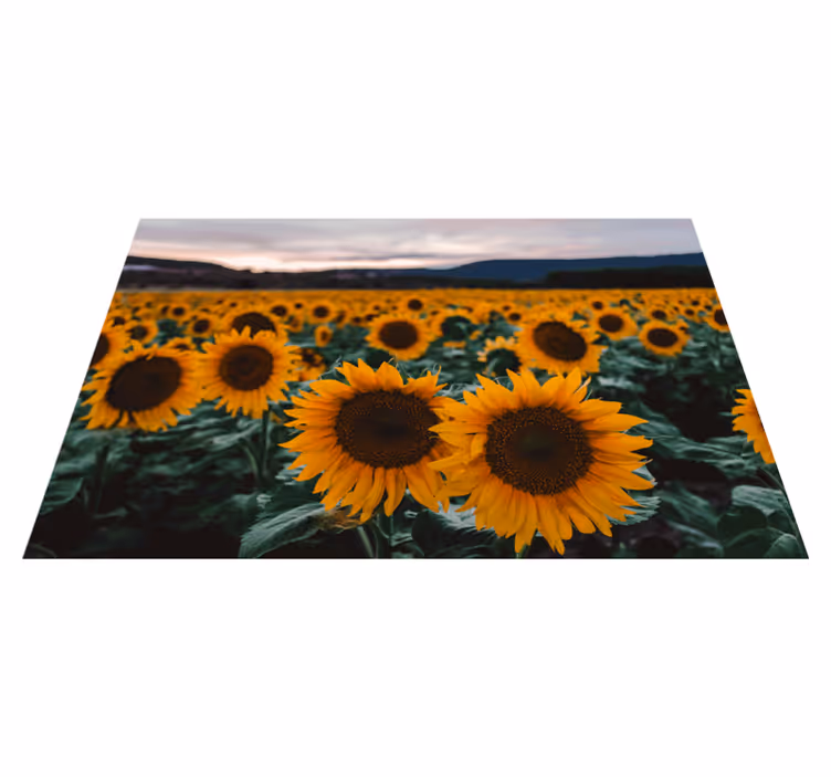 Suncokretovo polje elegantni podmetači - TenStickers