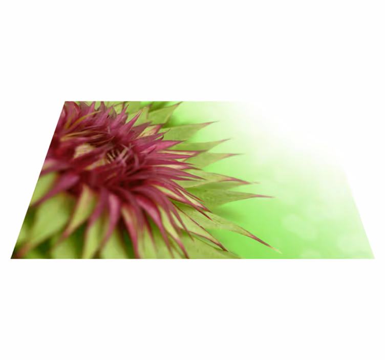 Podmetač elegantan trn - TenStickers
