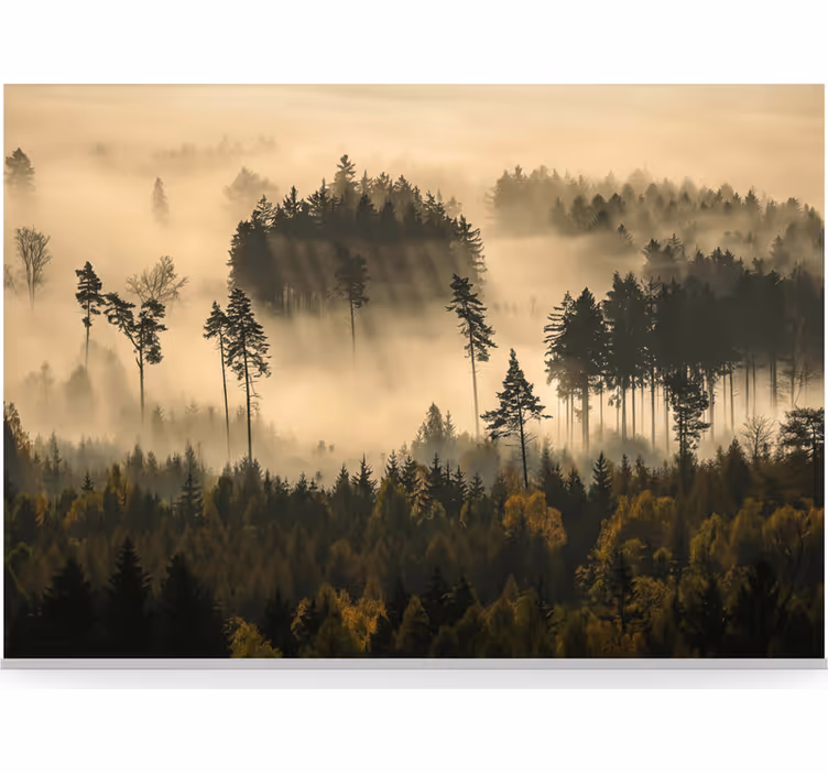 Foto tapete šumski eterealna jutarnja magla - TenStickers
