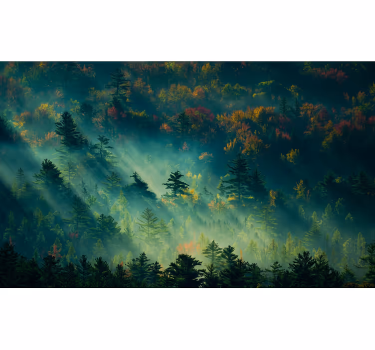 Foto tapete šumski melankolična šuma - TenStickers