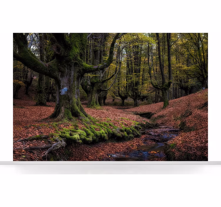 Foto tapete šumski Čarobna jesenska šuma - TenStickers