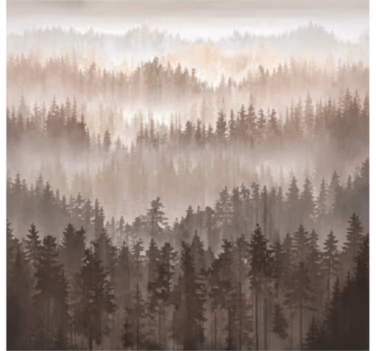 Foto tapeta slojevi drvenog šumskog pejzaža - TenStickers