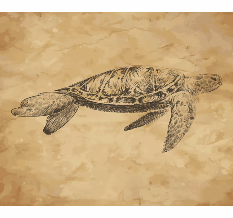 Foto tapete bež s ilustracijom kornjače - TenStickers