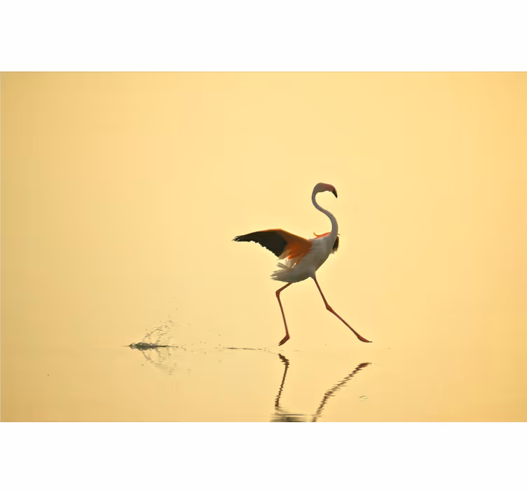 Foto tapeta smiješni trčeći flamingosi - TenStickers
