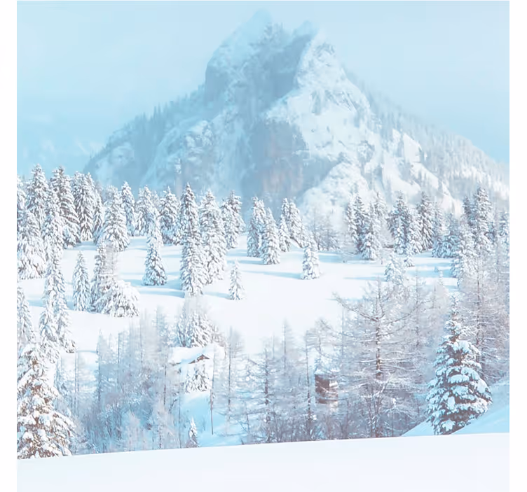 Foto tapete plavi zimska estetska fotografija - TenStickers