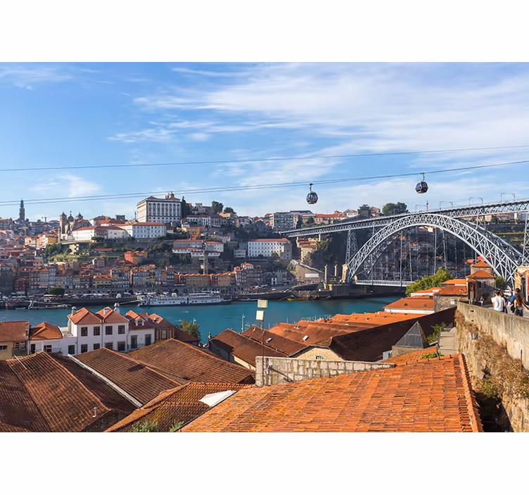 Zidni mural porto panorama - TenStickers