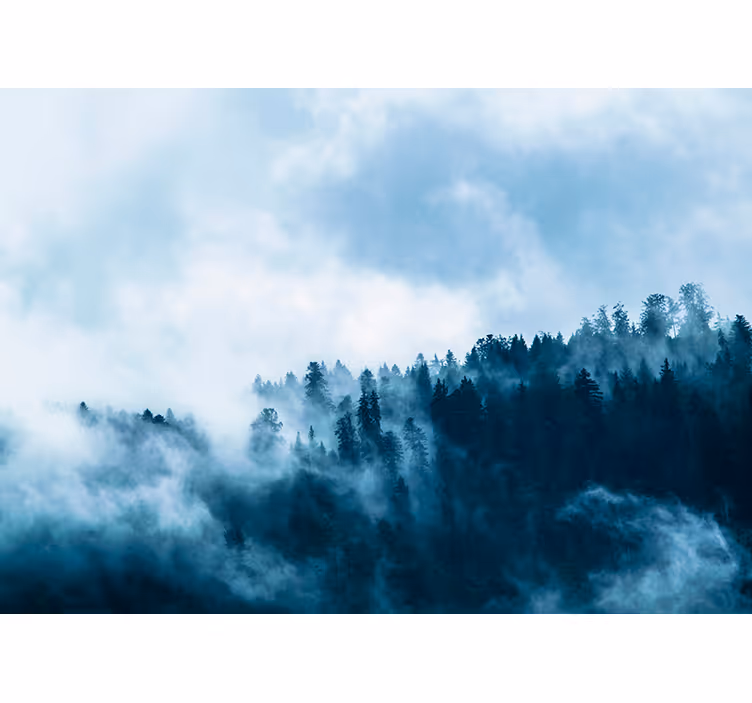 Foto tapete za dnevni boravak maglovita šuma - TenStickers