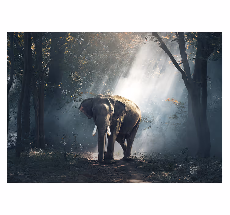Zidni freske majestic forest elephant - TenStickers