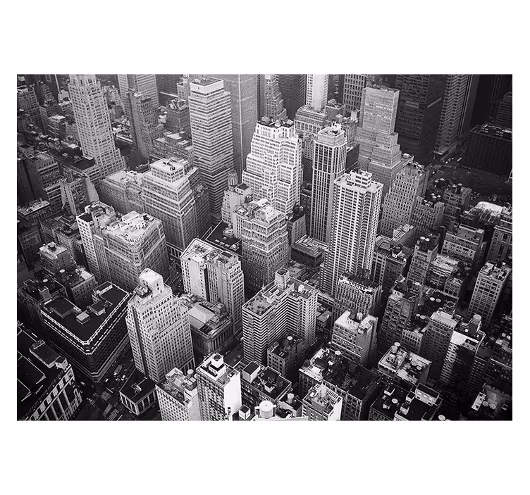 Zidni zid zidni zid new york aerial crno-bijeli - TenStickers