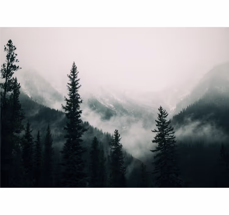 Drveće između planina zidni zid - TenStickers