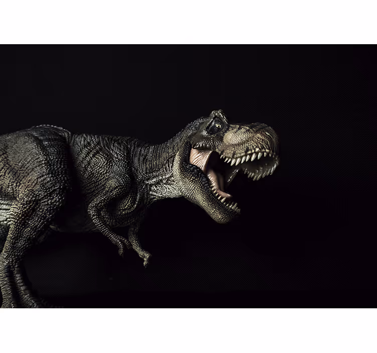Zidni freske dinosauri i biljke - TenStickers