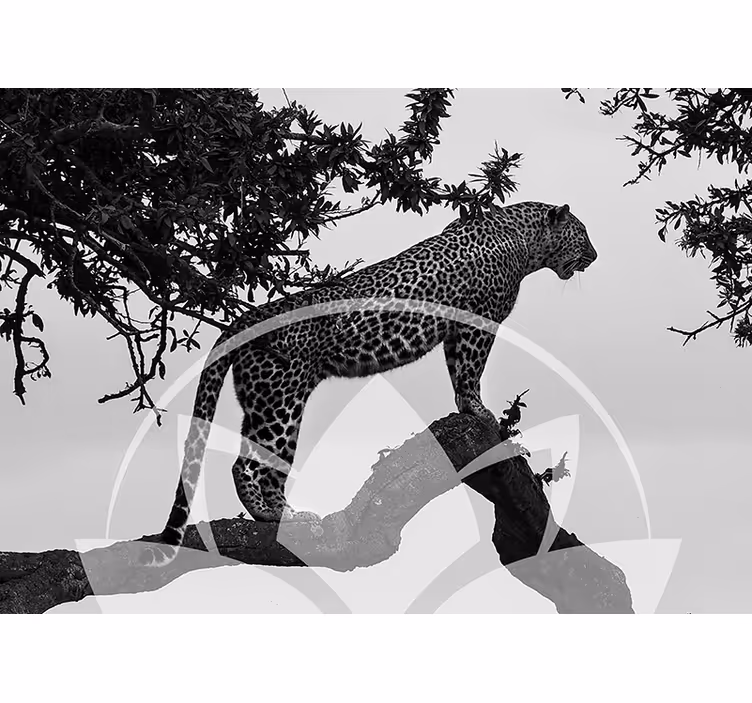 Zidni freske leopard na drvetu - TenStickers