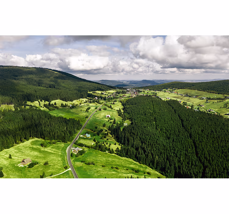 Poljske livade planinski zidni - TenStickers