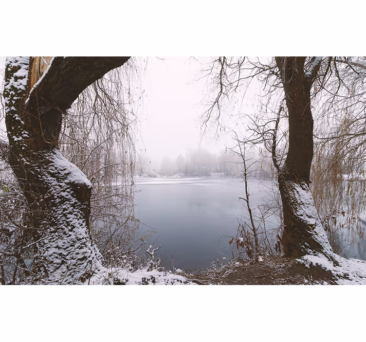 Foto tapete planinski pogled na zaleđeno jezero - TenStickers