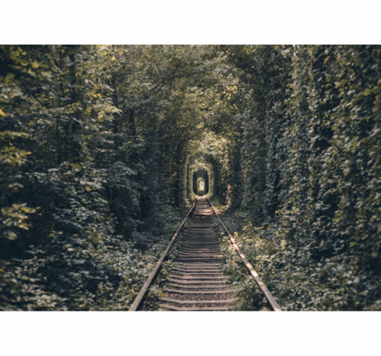 Foto tapeta šumski tunelski put - TenStickers