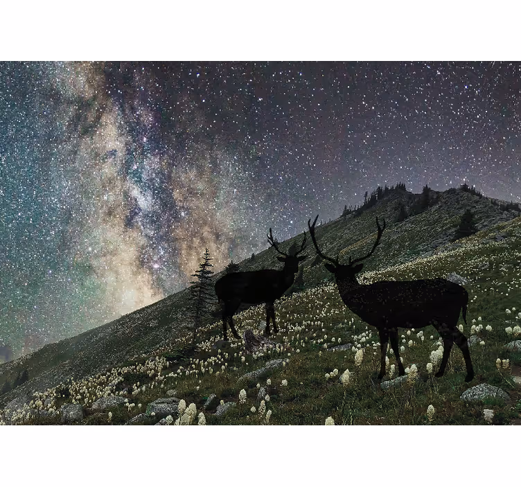 Foto tapete šumski jeleni zvjezdane noći - TenStickers
