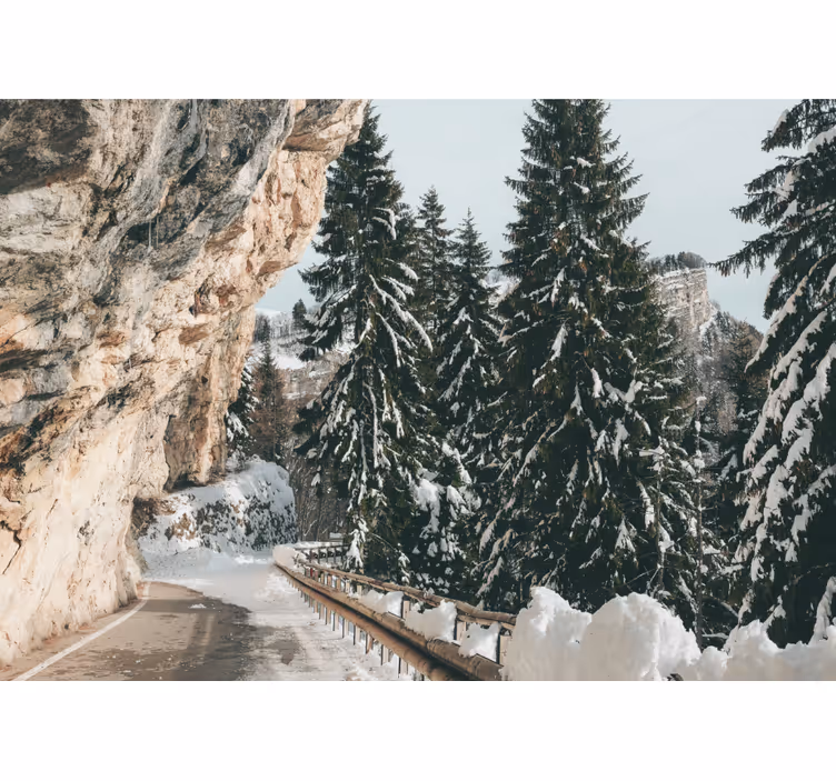 Foto tapeta zimski borov krajolik - TenStickers