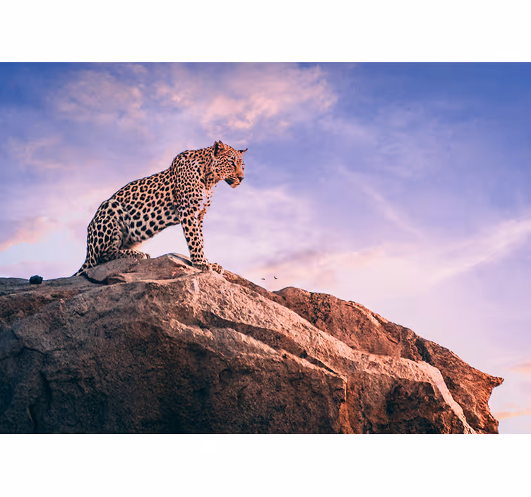 Zidni freske leopard na stijeni - TenStickers