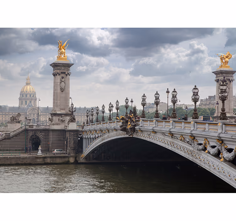 Zidne slike i zidne freske pogled na most alexandre iii - TenStickers