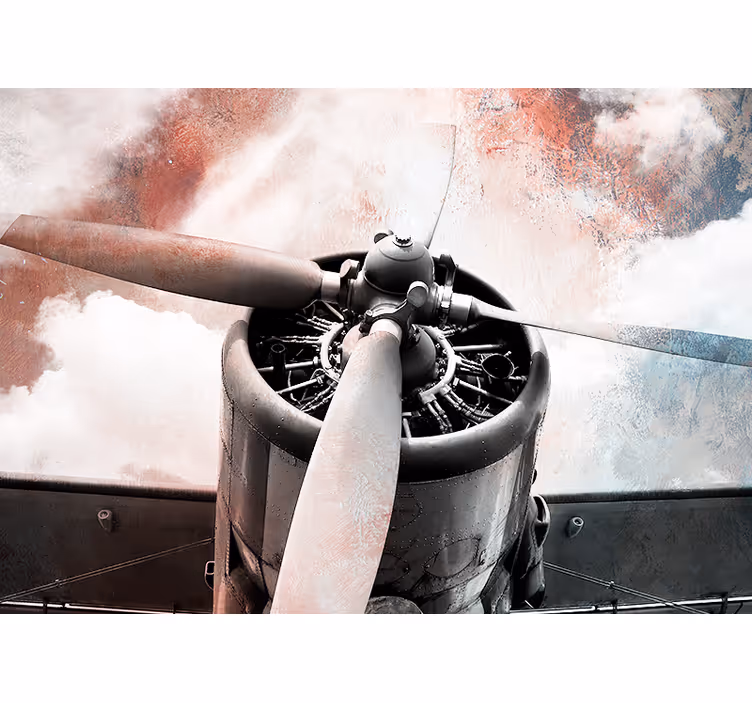 Stari zidni avion - TenStickers